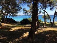 Rovinj park